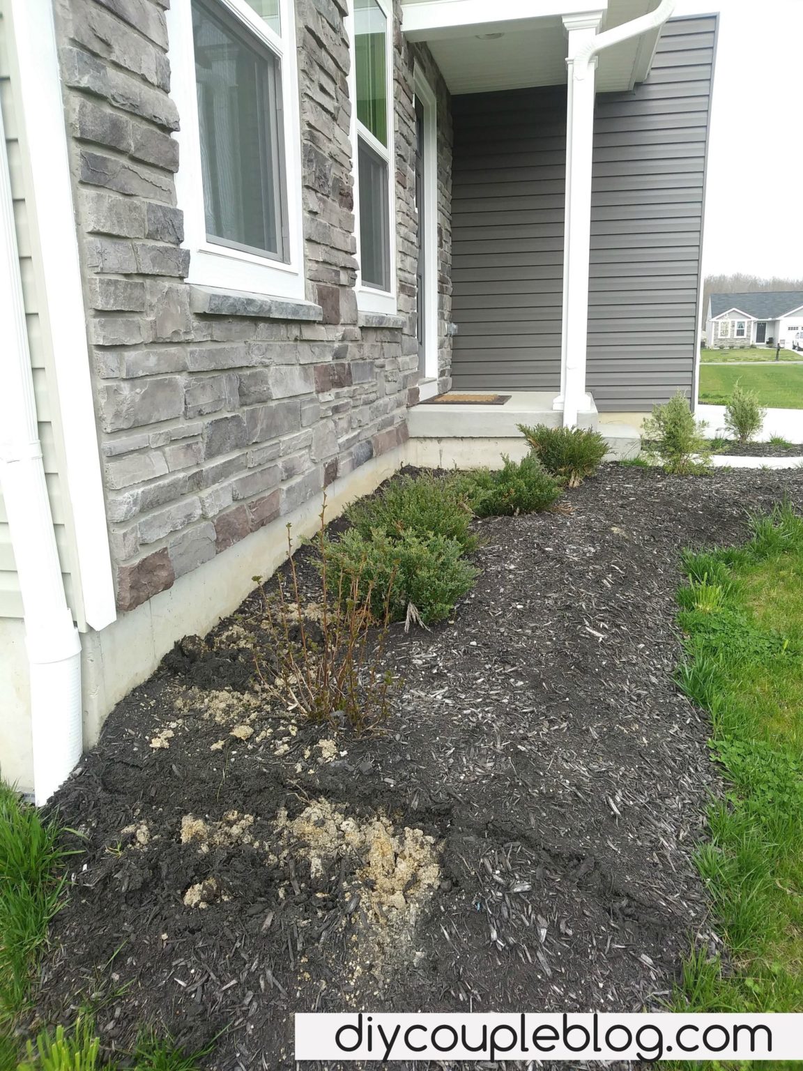 Landscaping Ideas For Front Of House (Our Finished Yard Transformation ...