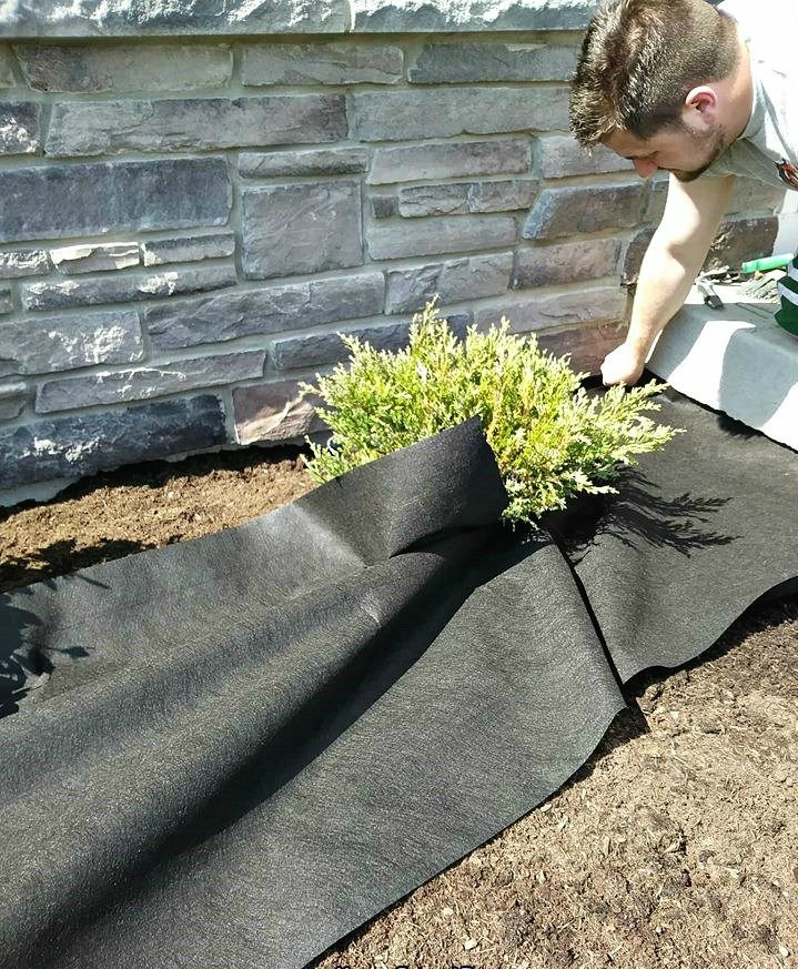 putting down landscaping fabric around flowers in garden