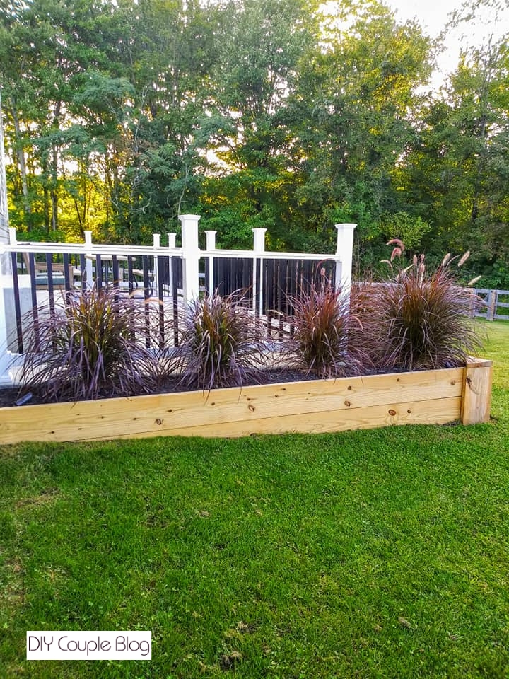 achieving privacy in our wood raised beds