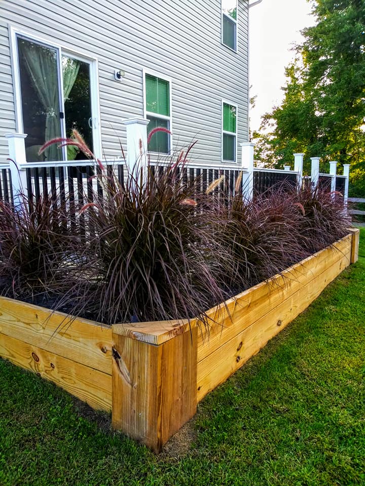 raised wooden garden beds with privacy