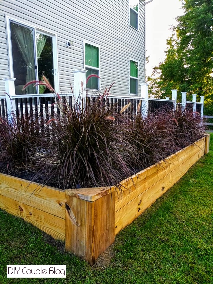 finished look at what wood raised beds can do for privacy and a beautiful landscape feature