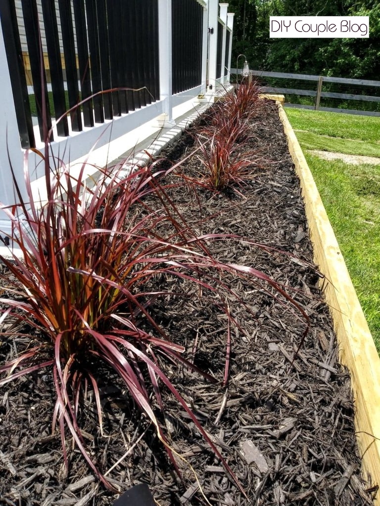 close-up of adding mulch and plants to our wood raised beds