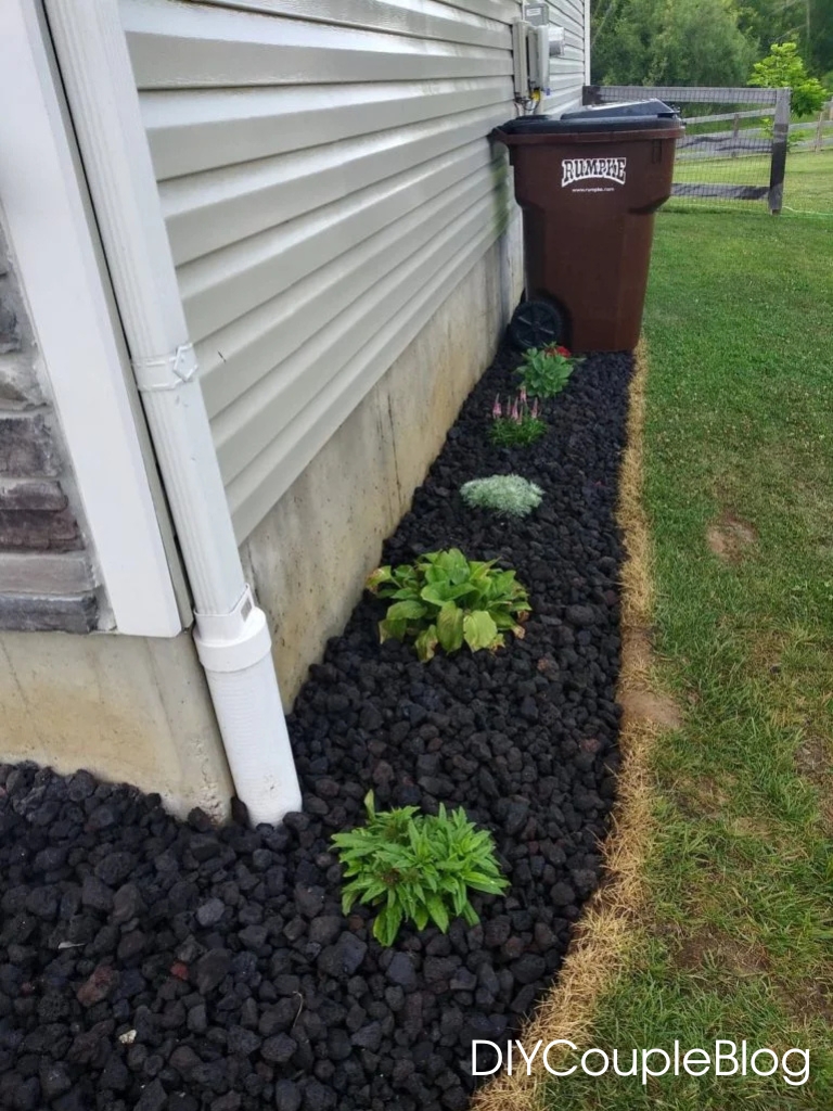 narrow flower bed along the side of our house