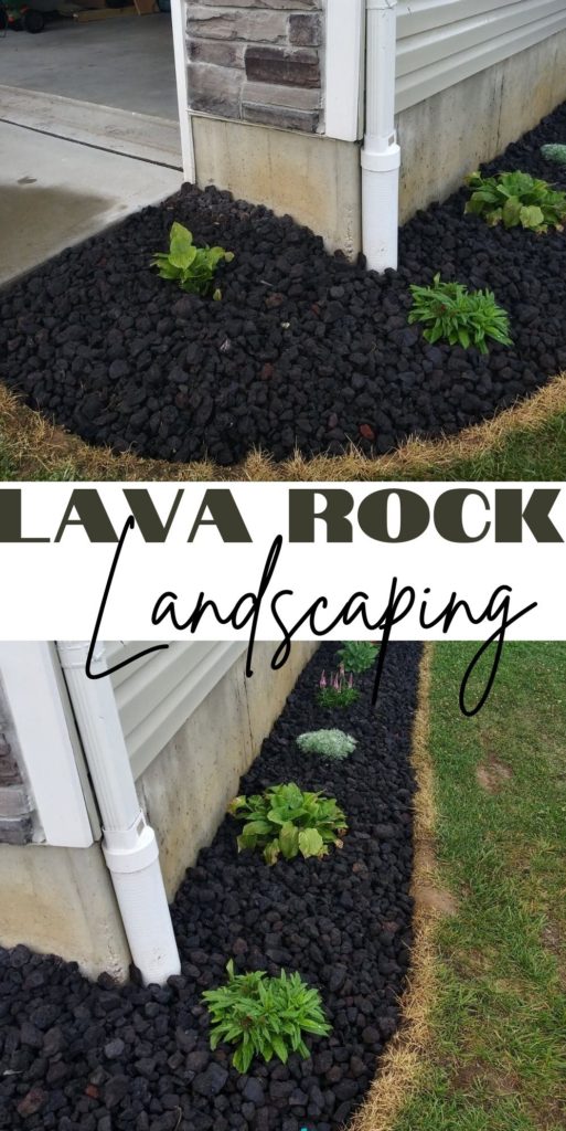 lava rock landscaping pin it
