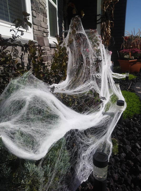 decorating for halloween with spider webs