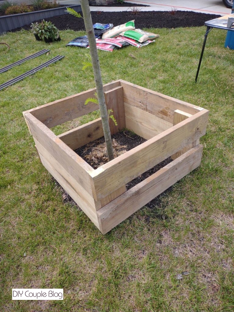 close-up of the frame around tree