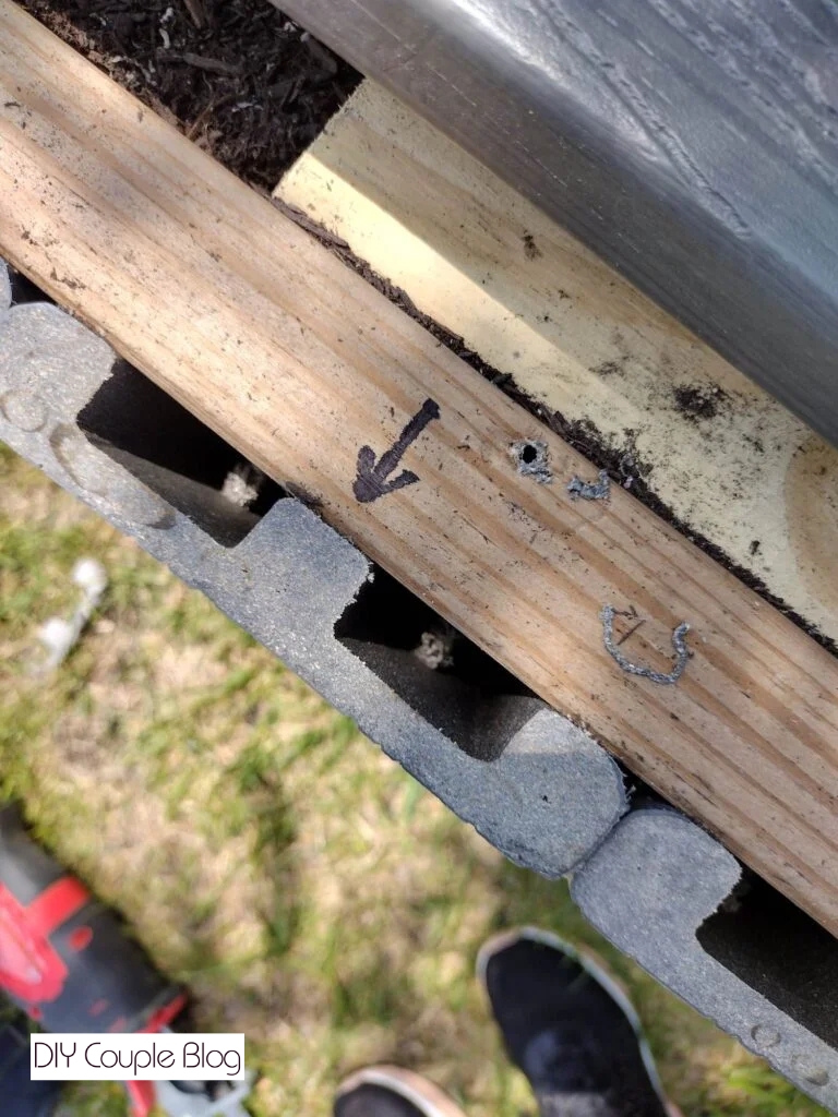 prepping to install the top board to the tree planter box 