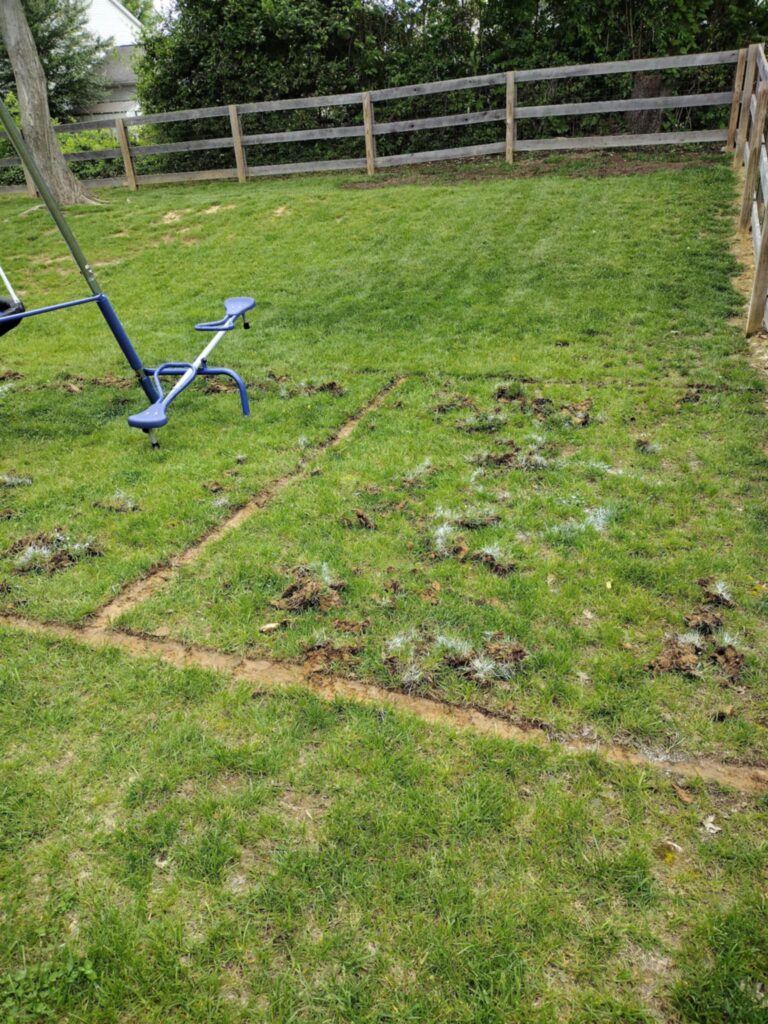 removing the dirt for playground design