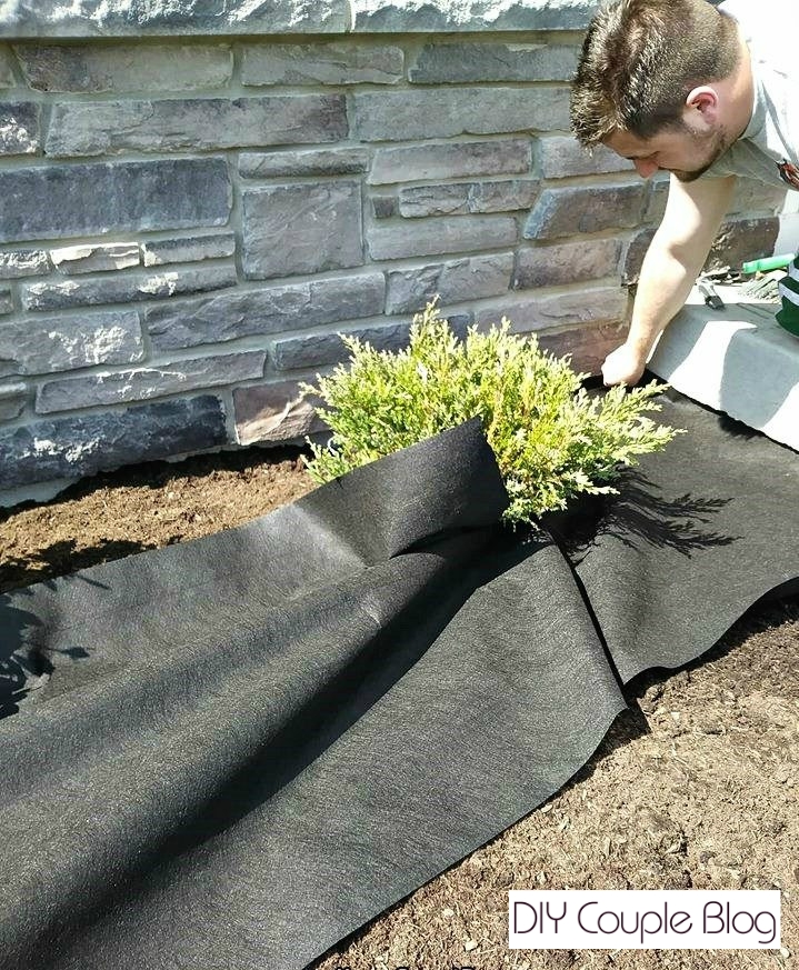 homeowner laying landscape fabric before adding lava rock