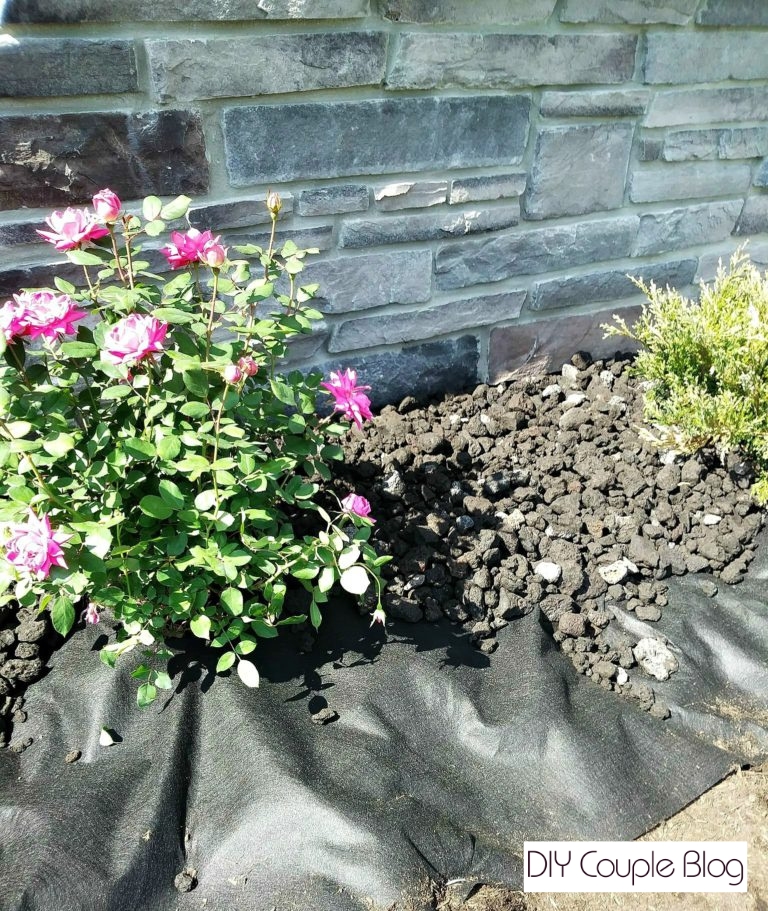 process of adding the black lava rock over the landscaping fabric